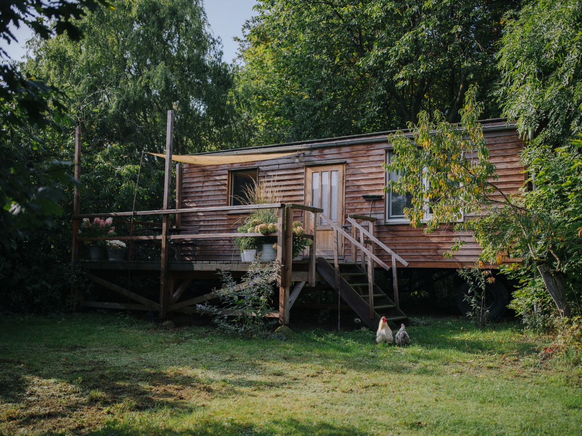Houten tiny house op wielen met terras, omringd door bomen en groen, met twee kippen in de tuin